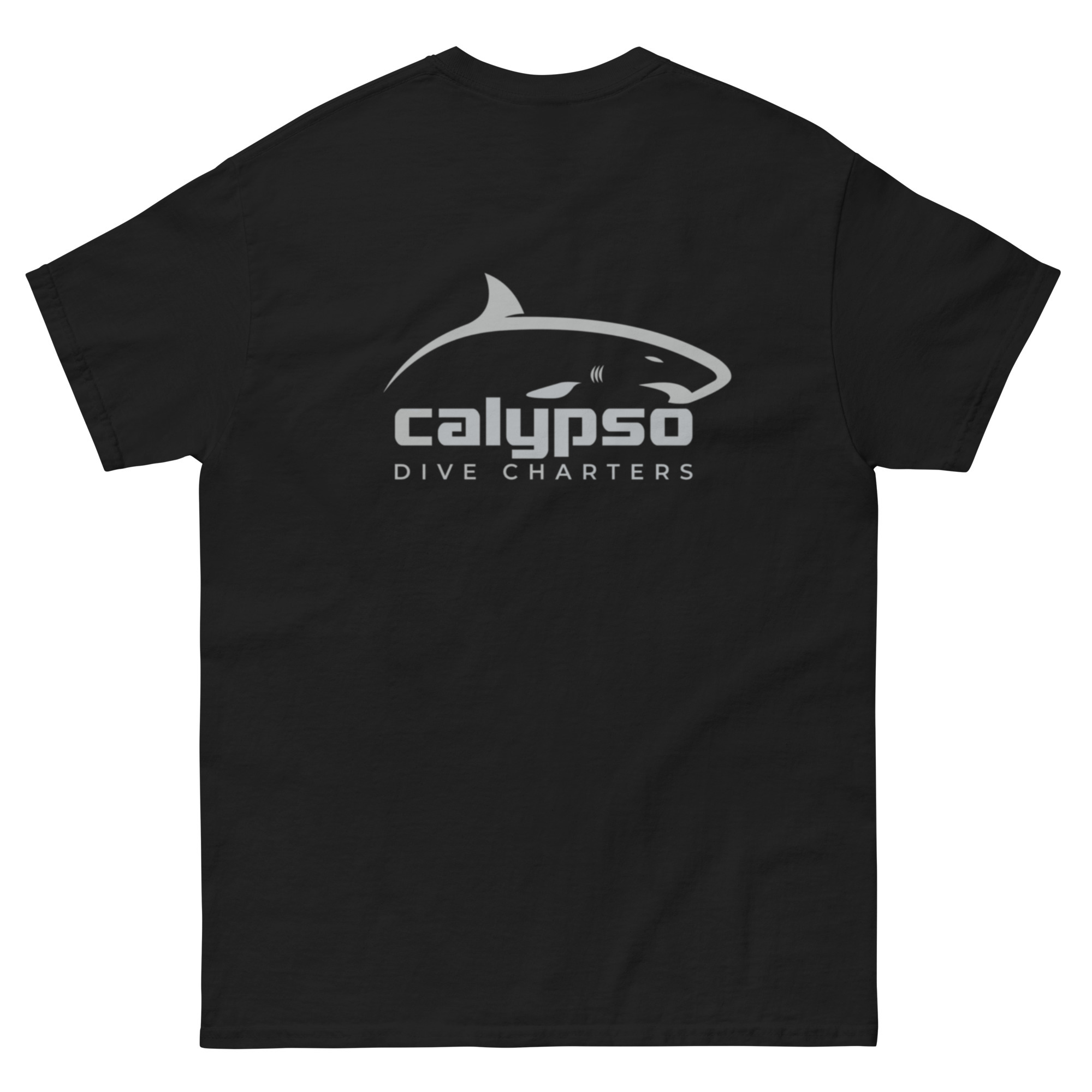 SCUBA DIVE CHARTERS CALYPSO DIVE CHARTERS SCUBA DIVE CHARTERS scuba-dive-charters-calypso-dive-charters-scuba-dive-charters